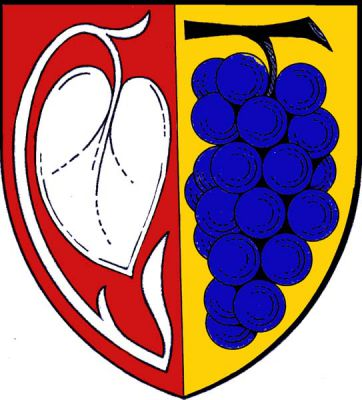 V červeno-zlatě polceném štítě vpravo stříbrné lekno, vlevo modrý vinný hrozen. Znak Klešice