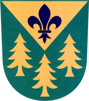 V zeleném štítě nad třemi (2, 1) zlatými smrky do poloviny zkrácený zlatý klín s modrou lilií. Znak Klínec
