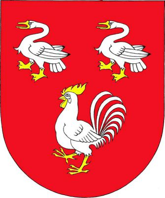 V červeném štítě nahoře dvě labutě vedle sebe, dole vykračující kohout, vše stříbrné se zlatou zbrojí. Znak Kokašice