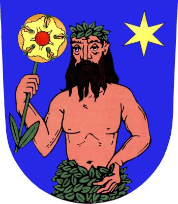 V modrém štítě vyrůstá divý vousatý muž se zeleným věncem na hlavě a kolem beder s levicí v bok a v pozvednuté pravici držící na zeleném stonku se dvěma listy zlatou růži s červeným semeníkem a zelenými kališními lístky. Vlevo nahoře zlatá hvězda. Znak Kostelec nad Černými Lesy