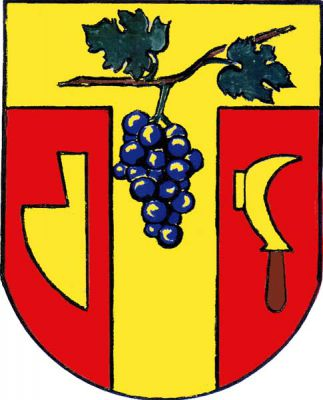 V červeném štítě pod zlatou hlavou zlatý kůl, v nich modrý vinný hrozen na stonku se dvěma zelenými listy. Vpravo radlice, vlevo doleva obrácený vinařský nůž - kosíř, obojí zlaté. Znak Kostice
