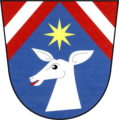 V červeném štítě ve zvýšeném modrém klínu, provázeném šikmým a kosmým stříbrným břevnem, stříbrná hlava laně s krkem a červeným jazykem, převýšená zlatou osmihrotou hvězdou. Znak Kostníky