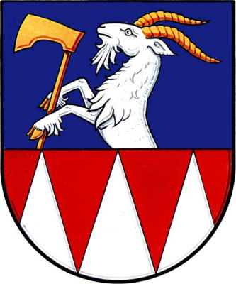 Štít dělen modře a červeně, v horní části z dělící čáry vyrůstající stříbrný kozel se zlatou zbrojí, držící zlatou valašku; v dolní části štítu tři stříbrné hroty. Znak Kozlovice