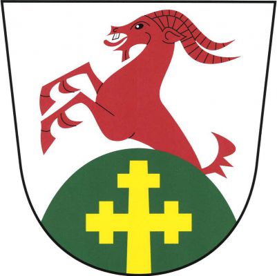 Ve stříbrném štítě červený kozel vyskakující ze zeleného vrchu, v něm vyrůstající zlatý křížkový kříž. Znak Kozly