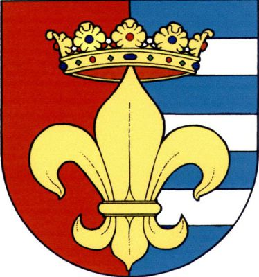V červeno-modře polceném štítě, vlevo se třemi stříbrnými břevny, lilie, převýšená korunou s červeným vyložením, o pěti viditelných listech, obojí zlaté. Znak Krásný Dvůr