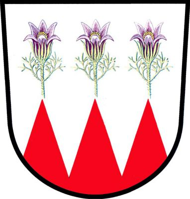 Ve stříbrném štítě tři červené kužely, z každého vyrůstá koniklec přirozené barvy. Znak Krčmaň