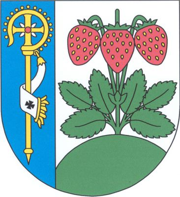 V modro-stříbrně vpravo polceném štítě vpravo zlatá berla se stříbrným sudariem, vlevo na zeleném vrchu jahodník se třemi svěšenými červenými jahodami a s trojicí zelených listů po obou stranách stonku. Znak Krňany
