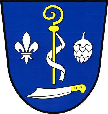 V modrém štítě zlatá berla ovinutá stříbrným sudariem, provázená vpravo lilií, vlevo svěšenou chmelovou šišticí, obojí stříbrné. Dole položený stříbrný nůž se zlatou rukojetí. Znak Kvášňovice