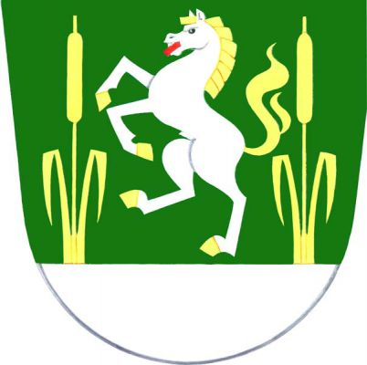 V zeleném štítě nad stříbrnou patou stříbrný kůň ve skoku s červeným jazykem, zlatou hřívou, ocasem a kopyty, provázený dvěma zlatými vyrůstajícími orobinci. Znak Lačnov