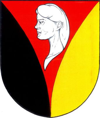 Černo-zlatě polcený štít s červeným vydutým klínem, v něm stříbrná busta dívčí hlavy. Znak Litohlavy