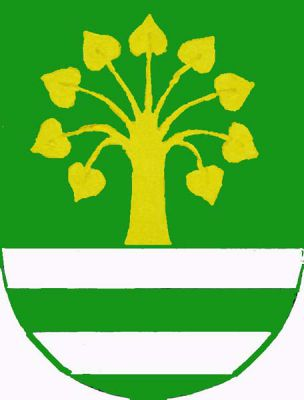 V zeleném štítě dole dvě stříbrná břevna, z horního vyrůstá zlatá lípa s devíti listy. Znak Lužec nad Cidlinou