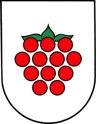 Ve stříbrném štítě červená malina. Znak Malenovice