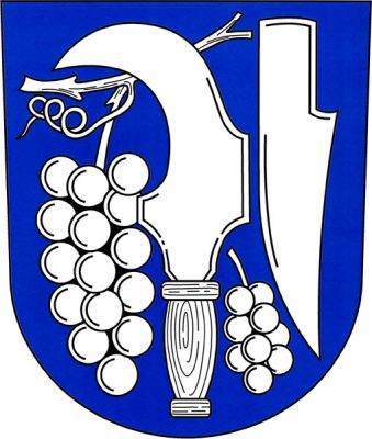 V modrém štítě vedle sebe vinný hrozen s ratolestí, vztyčený vinařský nůž - kosíř a krojidlo ostřím doleva, dole mezi vinařským nožem a krojidlem vinný hrozen, vše stříbrné. Znak Medlov