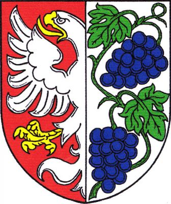 Červeno-stříbrně polcený štít, vpravo vyniká půl stříbrného orla se zlatou zbrojí, vlevo zelená vinná ratolest se dvěma listy a dvěma modrými hrozny. Znak Miroslav