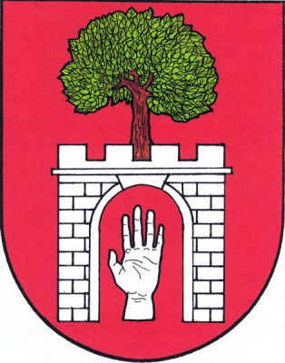 V červeném štítě stříbrná prázdná kvádrovaná brána se čtyřmi stínkami, z níž vyrůstá lípa přirozené barvy. V bráně stříbrná ruka po zápěstí dlaní vpřed. Znak Nárameč