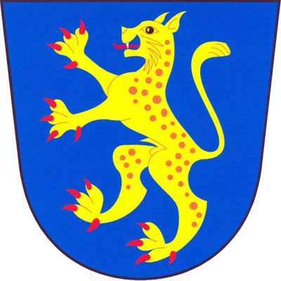 V modrém štítě zlatý rys ve skoku s červenou zbrojí. Znak Narysov