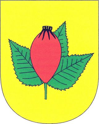 Ve zlatém štítě vztyčený červený šípek se třemi zelenými listy. Znak Nesuchyně