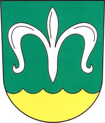 V zeleném štítě nad zlatou vlnkovitou patou stříbrná mariánská lilie. Znak Nesvačilka