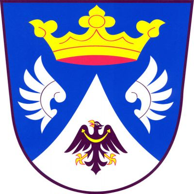 V modrém štítě snížený stříbrný vydutý hrot s černou orlicí se zlatou zbrojí a perizoniem a červeným jazykem převýšený zlatou korunou a provázený dvěma přivrácenými stříbrnými křídly. Znak Netín