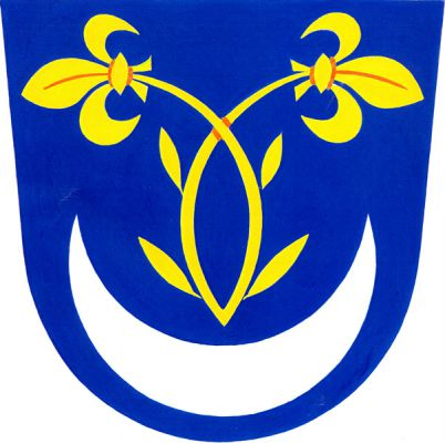 V modrém štítě nad stoupajícím stříbrným půlměsícem dvě zlaté odvrácené liie na zkřížených, dole spojených stoncích. Znak Nítkovice