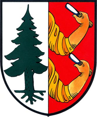 Ve stříbrno-červeně polceném štítě vpravo zelený vykořeněný smrk, vlevo od středu vynikají dvě rámě se zlatými vyhrnutými rukávy, držící dláta, paže a dláta přirozené barvy. Znak Nová Ves v Horách