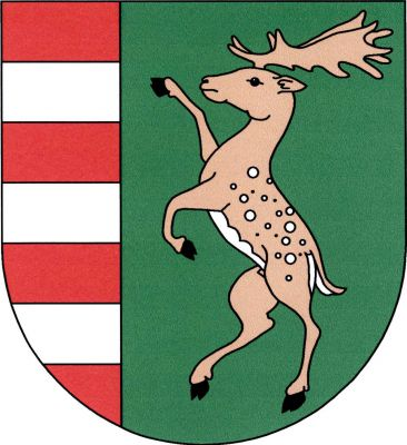 Červeno-zeleně vpravo polcený štít, vpravo tři stříbrná břevna, vlevo daněk ve skoku přirozené barvy. Znak Okounov