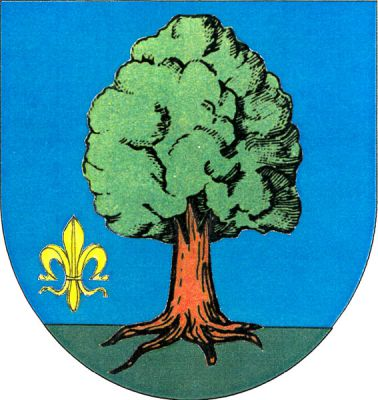 V modrém štítě na zeleném trávníku vykořeněný listnatý strom přirozené barvy, provázený vpravo dole zlatou lilií. Znak Osík