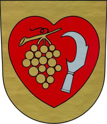 Ve zlatém štítě červené srdce, v němž vpravo na stonku zlatý vinný hrozen a vlevo stříbrný vinařský nůž. Znak Ostopovice