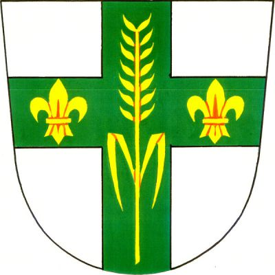 Ve stříbrném štítě zelený heroldský kříž s obilným klasem se dvěma listy, provázeným dvěma liliemi, vše zlaté. Znak Pamětice