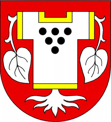 V červeném štítě stříbrná, zlatě lemovaná dalmatika se šesti (3,2,1) černými kotouči, kterou prorůstají stříbrná lekna, listy z rukávů a kořeny dole. Znak Pchery