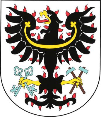 Ve stříbrném štítě černá plamenná orlice se zlatou zbrojí a jetelovitě zakončeným perizoniem. V pravém pařátu drží dva postavené zkřížené odvrácené klíče, v levém hornická kladívka, vše přirozené barvy. Znak Petrovice I