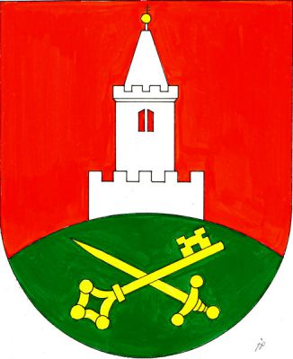 V červeném štítě na zeleném návrší stříbrná ohrazená věž kostela s prázdným sdruženým románským oknem a s věží zakončenou zlatou makovicí s patriarším křížem , v návrší kosmo vztyčený meč křížem přeložený vztyčeným gotickým klíčem zuby nahoru, obojí zlaté. Znak Petrovice u Sušice