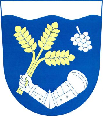 Vmodrém štítě pod stříbrnou vlnitou hlavou stříbrné pravé obrněné rameno s rukou přirozené barvy držící šikmo tři zlaté obilné klasy, krajní odkloněné, provázené vlevo nahoře kosmým stříbrným vinným hroznem. Znak Plenkovice