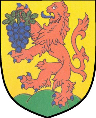 Ve zlatém štítě na zeleném trojvrší červený lev ve skoku s modrou zbrojí držící modrý vinný hrozen se zelenými listy. Znak Popice