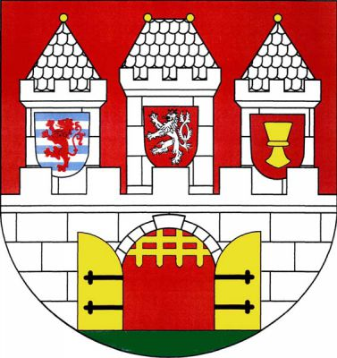 V červeném štítě na zeleném trávníku stříbrná kvádrovaná hradba s cimbuřím, zlatými otevřenými vraty s černým kováním a zlatou vytaženou mříží. Za hradbou tři stříbrné kvádrované věže s cimbuřím, prostřední vyšší s valbovou střechou, krajní se stanovými, na všech zlaté makovice. Na prostřední věži červený štítek s českým lvem, na pravé věži sedmkrát modro-stříbrně dělený štítek s červeným lvem, na levé věži červený štítek se zlatým kalichem. Znak Praha 3