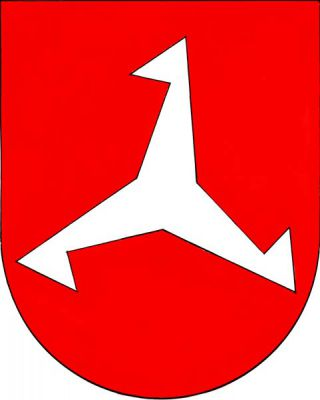 V červeném štítě stříbrný hříč. Znak Pravonín