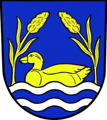 V patě modrého štítu dvě stříbrná zúžená vlnitá břevna, na nichž plave kachna provázaná dvěma vyrůstajícími přivrácenými orobnici, vše zlaté. Znak Prlov