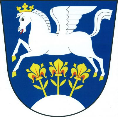 V modrém štítě stříbrný korunovaný Pegas se zlatou zbrojí nad stříbrným návrším, z něhož vyrůstají tři zlaté lilie na stoncích, každý se dvěma listy. Znak Provodov