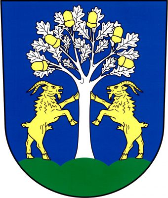V modrém štítě na zeleném trojvší stříbrný dub se šesti zlatými vztyčenými žaludy. Ze stran se o dub opírají přední nohou dva zlatí kozli. Znak Prštice
