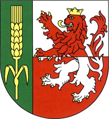 Vpravo polcený štít, v pravém zeleném poli zlatý obilný klas se dvěma listy, v levém stříbrno-červeně děleném poli korunovaný lev opačných barev se zlatou zbrojí. Znak Račiněves