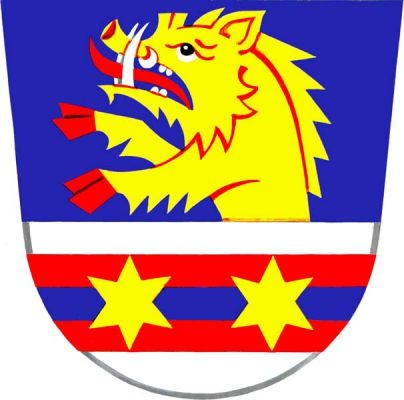 V modro-stříbrně děleném štítě nahoře rostoucí zlatý kanec s červenými kopyty a jazykem a stříbrnými kly, dole červeno-modro-červeně dělené břevno se dvěma zlatými hvězdami. Znak Racková