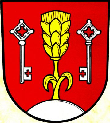 V červeném štítě ze stříbrného návrší vyrůstající zlatý obilný klas, provázený dvěma přivrácenými stříbrnými klíči zuby dolů. Znak Raduň