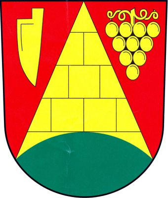 V červeném štítě na zeleném návrší kvádrovaný hrot, provázený vpravo radlicí a vlevo vinným hroznem na stonku se dvěma úponky, vše zlaté. Znak Rapotice