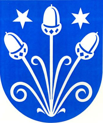 Na modrém štítě jsou 3 stříbrné žaludy na stoncích vyrůstajících z jednoho místa mezi úponky. Mezi stonky se žaludy vyrůstají rovněž úponky. Nahoře mezi žaludy jsou 2 hvězdy. Na heraldicky pravé straně je na hrot postavena pěticípá hvězda a na levé straně šesticípá hvězda postavena rovněž na hrot. Znak Ratíškovice