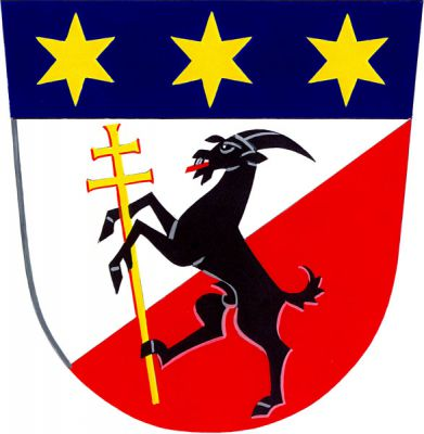 Ve stříbrno-červeně šikmo děleném štítě pod modrou hlavou se třemi zlatými hvězdami černý kozel ve skoku s červeným jazykem, držící zlatý procesní patriarší kříž. Znak Rokytnice