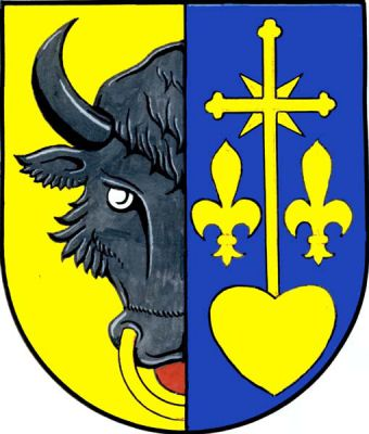 Ve zlato-modře polceném štítě doprava vyniká půl černé zubří hlavy se zlatou houžví a červeným jazykem, vlevo ze srdce vyrůstá procesní kříž provázený dvěma liliemi, vše zlaté. Znak Rozsochy