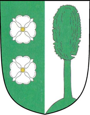 V zeleno-stříbrně polceném štítě vpravo dva stříbrné čtyřlisté květy se zlatými středy vpravo nad sebou, vlevo z návrší vyrůstající olše, vše zelené. Znak Šerkovice