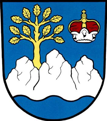 V modrém štítě z vlnité paty vyniká stříbrné skalnaté trojvrší z něhož vpravo vyrůstá zlatý dub provázený vlevo knížecí korunou. Znak Skalice