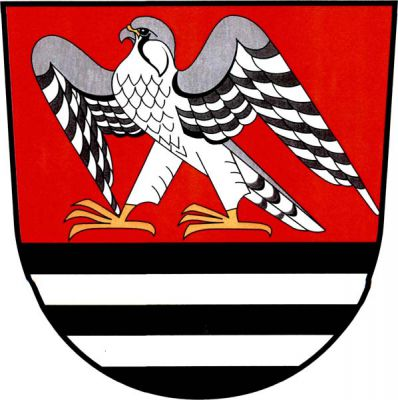 V červeno-černě sníženě děleném štítě nahoře rozkřídlený sokol přirozené barvy, dole dvě stříbrná břevna. Znak Sokoleč