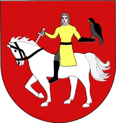 V červeném štítě na stříbrném, černě uzděném koni zlatě oděný sokolník držící v pravé ruce stříbrnou skloněnou dýku, v levé ruce na černé rukavici sokola přirozené barvy. Znak Sokolnice